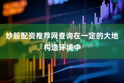 炒股配资推荐网查询在一定的大地构造环境中