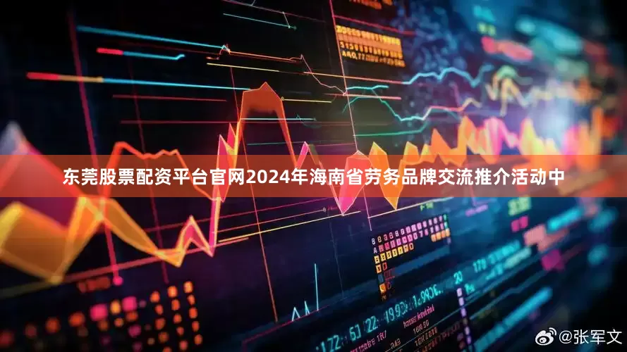 东莞股票配资平台官网2024年海南省劳务品牌交流推介活动中