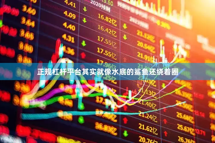 正规杠杆平台其实就像水底的鲨鱼还绕着圈